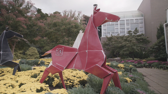 Origami in the Garden