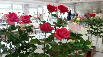 Columbus Rose Show