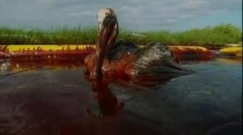 After the Spill image