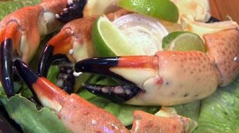Captain Jim's Seafood Market and Restaurant