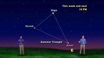 "Those Short But Starry Nights Of Summer Are About To Arrive