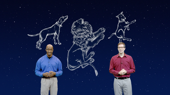 “Two Dogs and One Really Big Cat” Mar 6-12th 1 Min