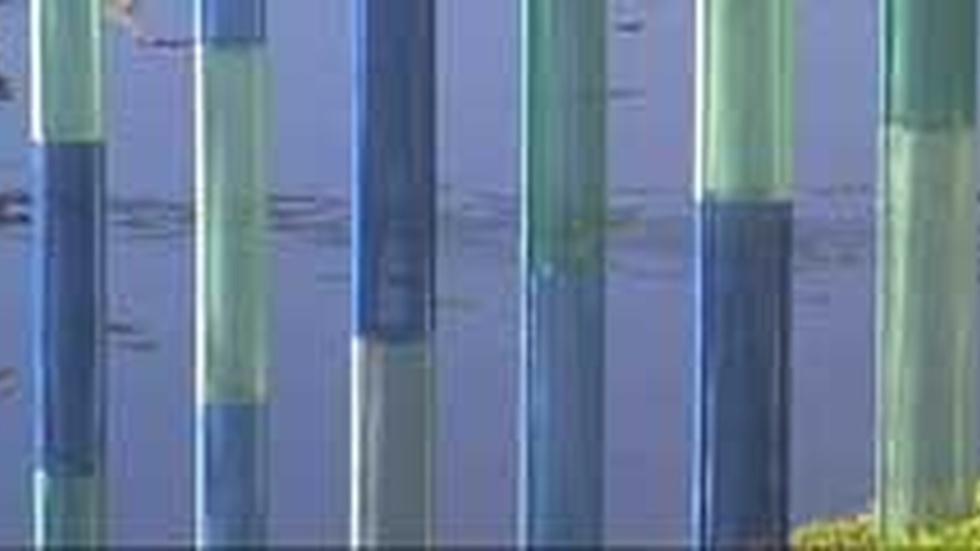 Plein Air Gallery exhibition, Color Field Sculpture image