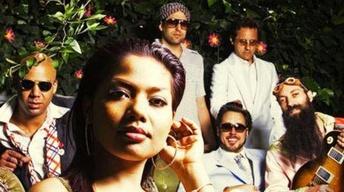 Dengue Fever image