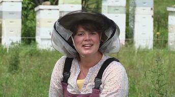 Bees, Teas and Holsteins