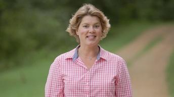 Dung Beetles, Spuds and Sorghum