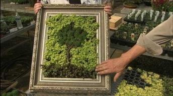 Creating a Picture Frame Garden image