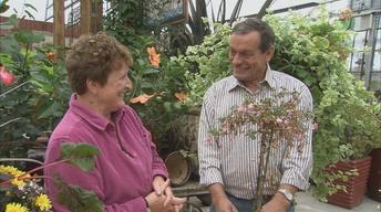 The Artful Gardener: The Legacy of Jan Wos image