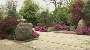 Anderson Japanese Gardens image