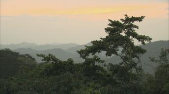 Soberania National Park image