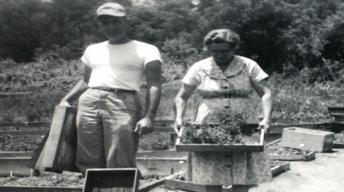 Tennessee Life - 204 - Gardening in Tennessee
