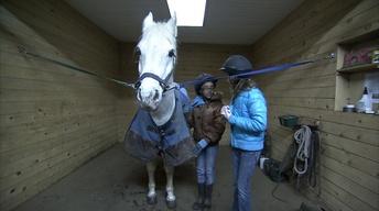 Khala Horses Around at Harmony Hill Ranch