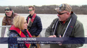Budget Cuts Could Hinder Asian Carp Efforts in Great Lakes
