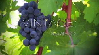 Vintage: Napa Valley 2012 image