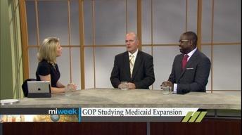 Chaos on the Council, Wayne Cty Jail Update, Medicaid & GOP image