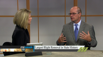 Blight Removal/ School Marketing image