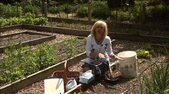 Food Safety for Backyard Gardeners image