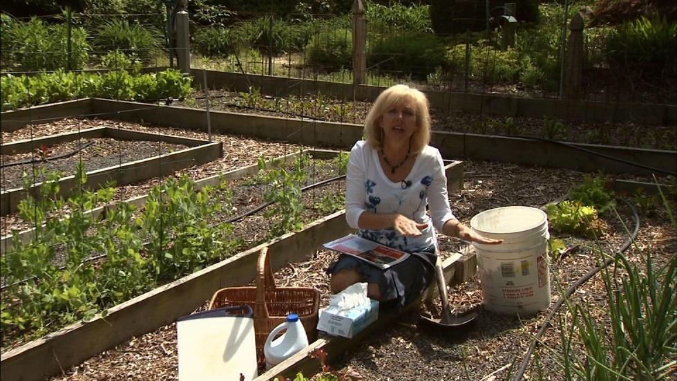 Food Safety for Backyard Gardeners image