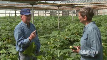 Simpson's Farm Produce image
