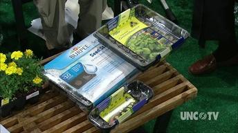 Planting Fall Garden Early