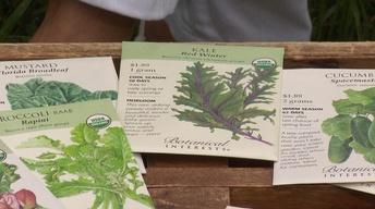 Planting Fall Gardens