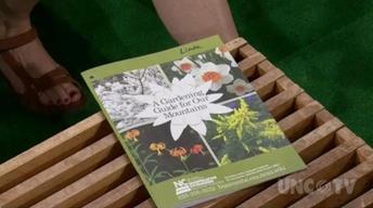 Best Gardening Guide