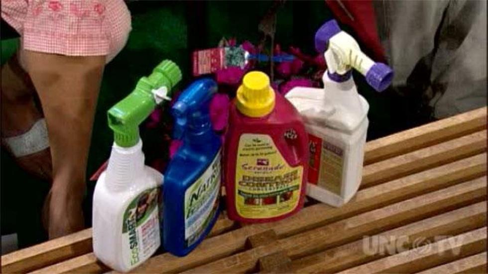 Know Your Pest Control image