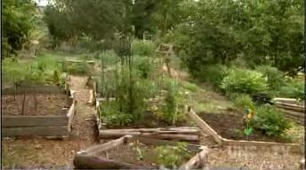 SEEDS Community Garden image