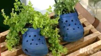 Innovative Planting Ideas image