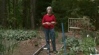 Early Season Vegetable Garden image
