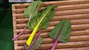 Radishes & Podded Peas image