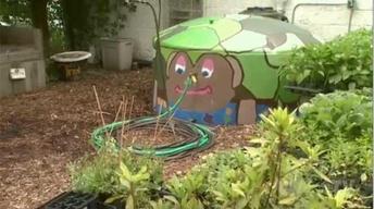 Rain Water Harvesting