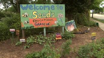 SEEDS DIG Garden image