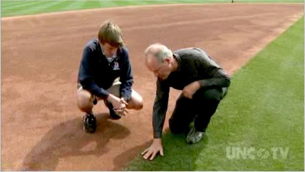 Durham Bulls Grass image