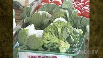 Preparing Fresh Broccoli image