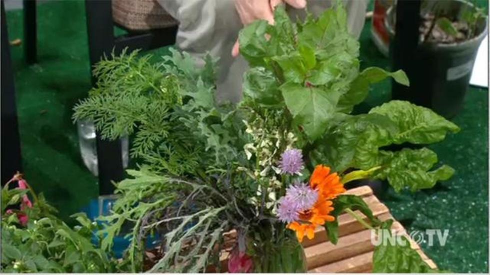 Growing Edible Bouquet image