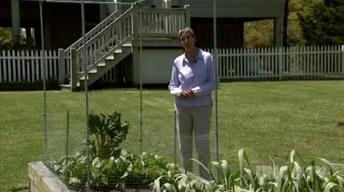 Coastal Backyard Gardening