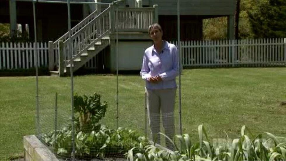 Coastal Backyard Gardening image
