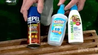 Controlling Mosquitoes image