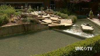 Urban Landscapings image