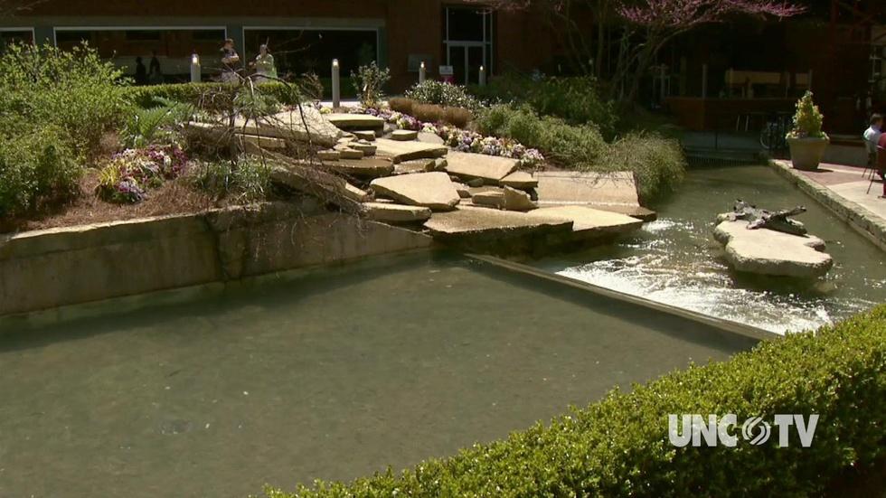 Urban Landscapings image