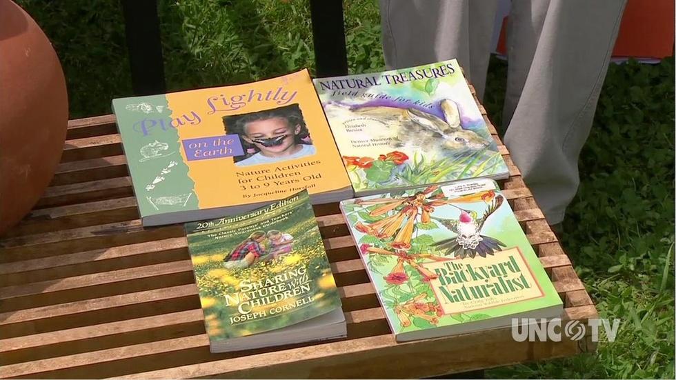 Teaching Kids Gardening image