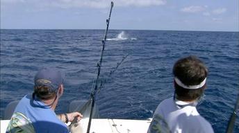 Gear Time: Blue Water Adventure