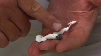 Gear Time: Black Crappie