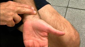 Fitness Assessment