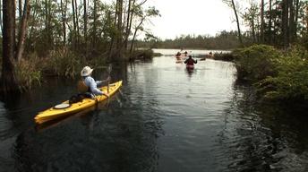Coastal Kayak Touring Company