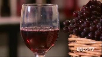 Sanctuary Vineyards image