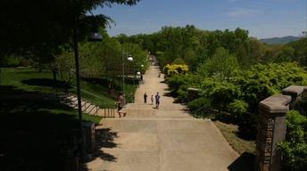 NC Arboretum: Cultivating Connections image