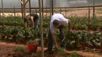 Guilford College Farm