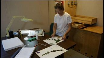 NC Arboretum: Germplasm Repository image